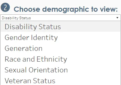 List of demographics available to view data: disability status, gender identity, generation, race and ethnicity, sexual orientation, and veteran status