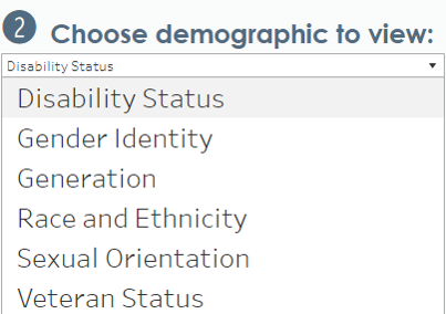 List of demographics available to view data: disability status, gender identity, generation, race and ethnicity, sexual orientation, and veteran status