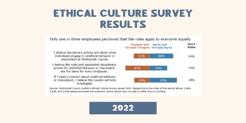 Ethical Culture Survey image