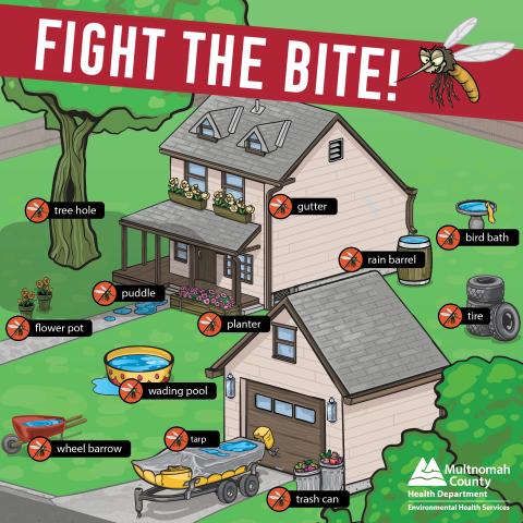 Illustration showing common objects around a yard that collect water for mosquitoes to breed in.