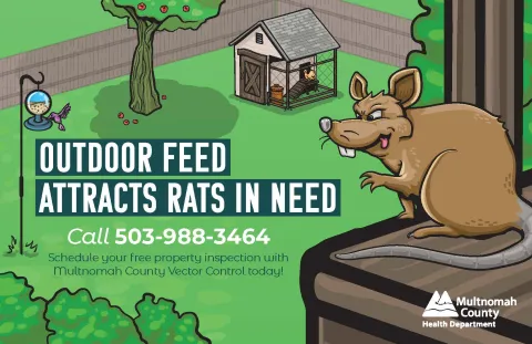 Illustration of a hungry rat eyeing a backyard bird feeder and chicken coop for food.