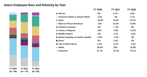 Intern Employee Race and Ethnicity by Fiscal Year