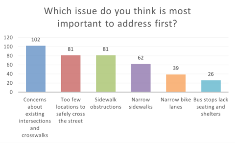 Bar chart labeled "Which issue do you think is most important to address first", showing the results described in the page text.