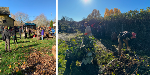 people gardening at NAYA's Unthanksgiving event