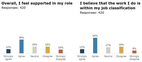 library bar graphs on workforce equity and staffing