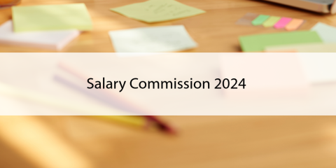 Salary Commission Committee 2024