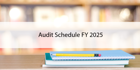 Audit Schedule FY 2025