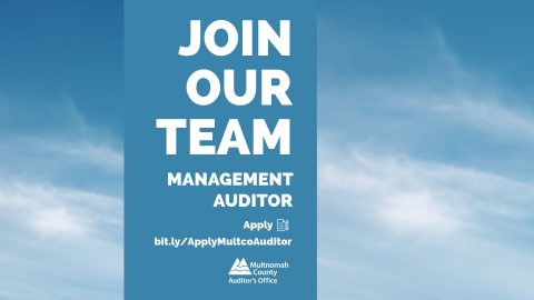 Management Auditor Opening June 2024