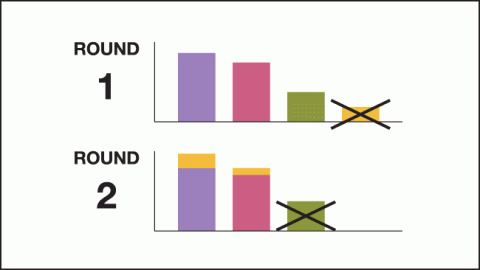 Image of two charts with vertical bars labeled “Round 1” and “Round 2”. Each shows  the lowest bar with an X through it. 