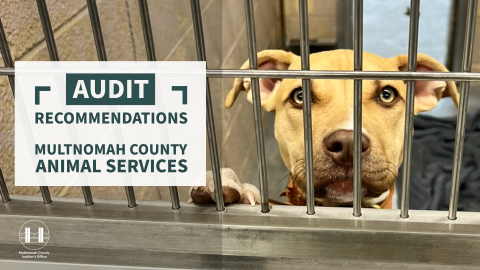 Audit Recommendations Multnomah County Animal Services