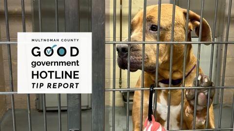 Good Government Animal Services Hotline Tip