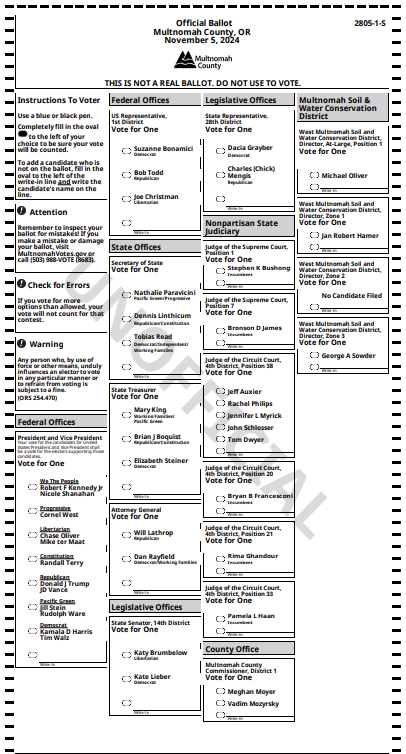 Image of a sample ballot for the November 5, 2024 General Election.