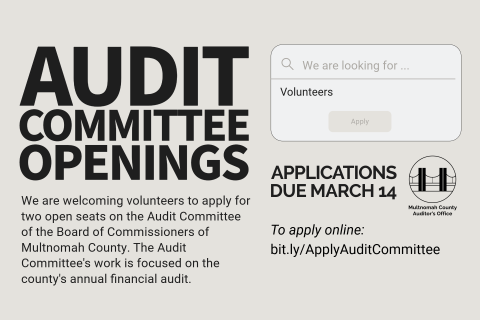 2025 Audit Committee Opening Recruitment Promo