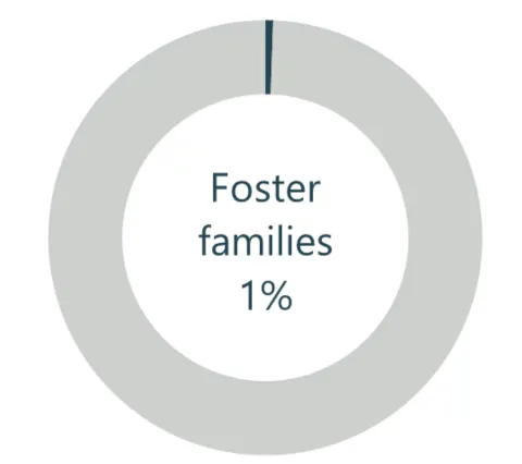 Donut chart showing 1% enrolled students are in foster families.