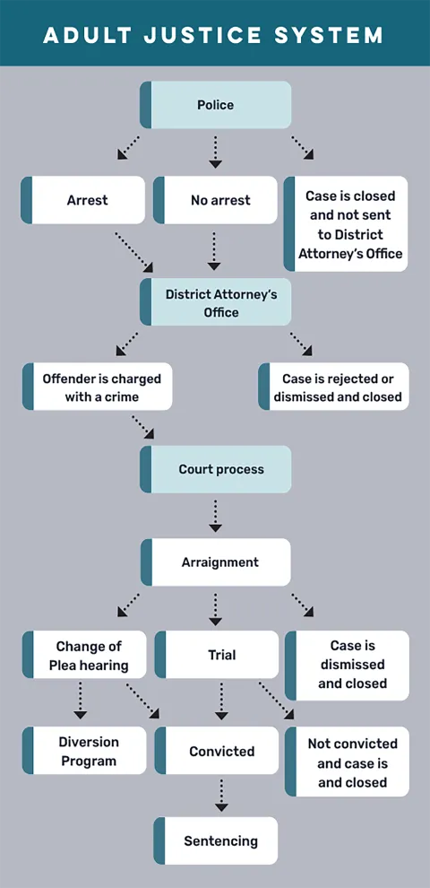 An overview of the adult justice system