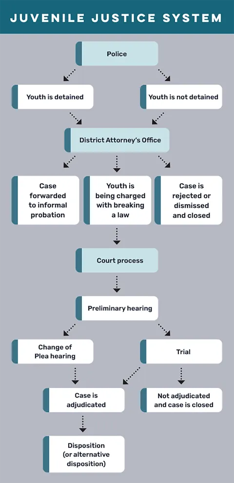 Case Companion: An overview of the juvenile justice system 