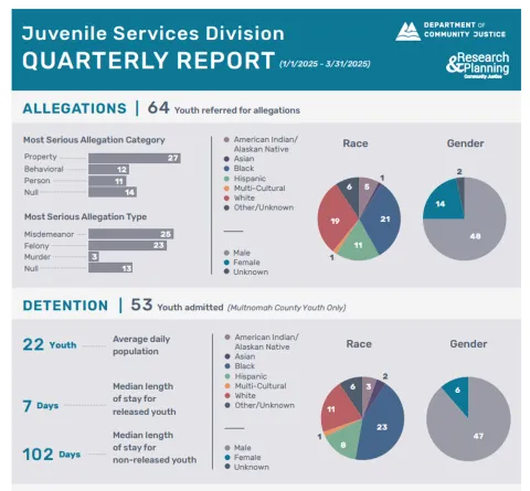 graphic thumbnail of Juvenile Service Division quarterly report