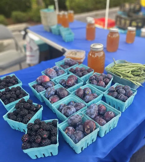Blueberries, plums, honey in jars and green beans sitting on a table with a blue table cloth