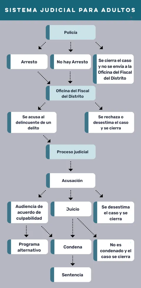 The adult justice process