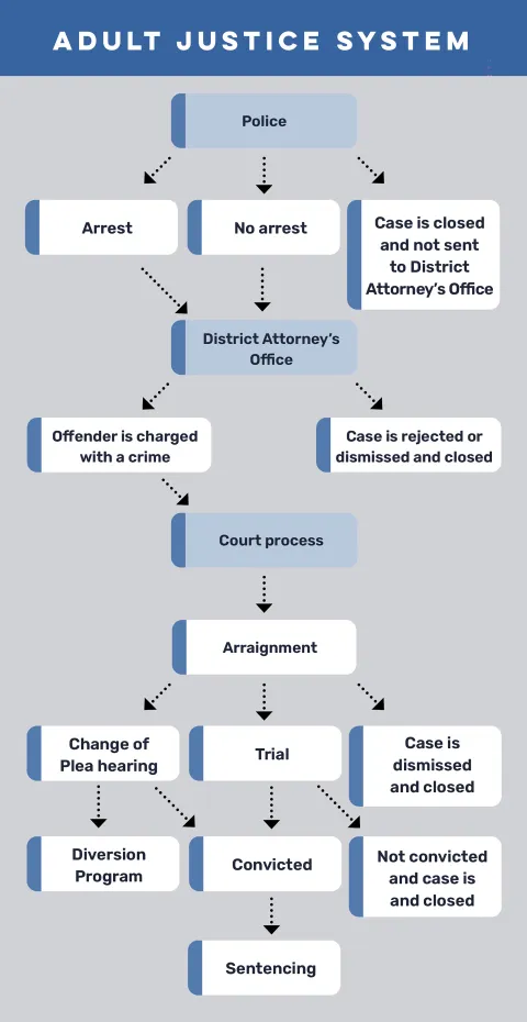 Adult justice system flowchart