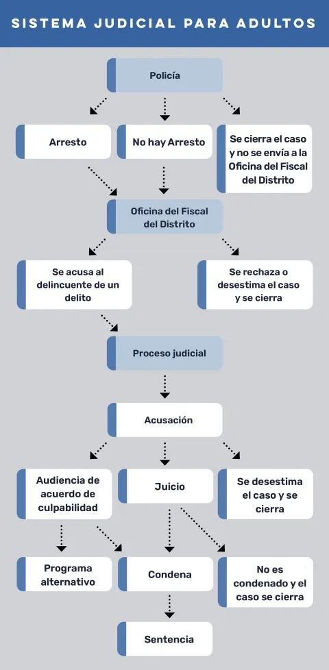 Sistema judicial para adultos
