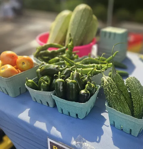 Peppers, tomatoes, zucchini and squash sitting on a table
