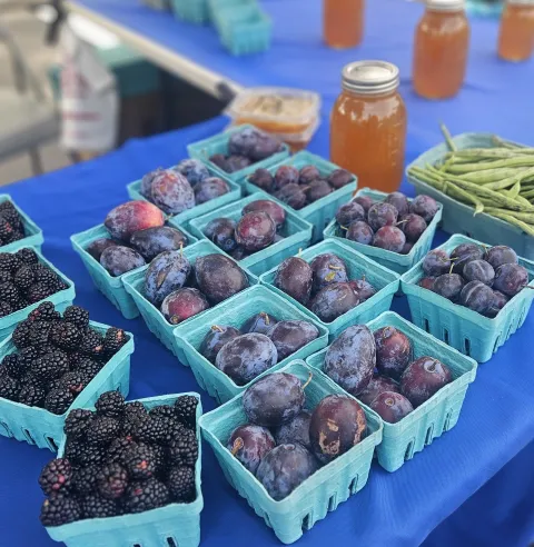 Blueberries, plums, honey in jars and green beans sitting on a table with a blue table cloth