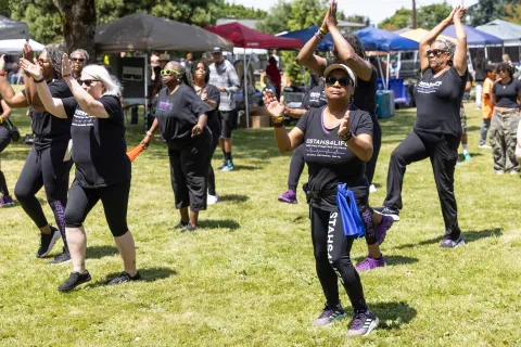 A group of Black people line dancing in a grassy park