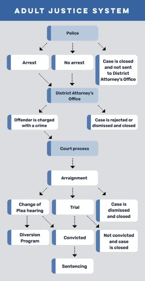 A flowchart shows the different steps for the adult justice system